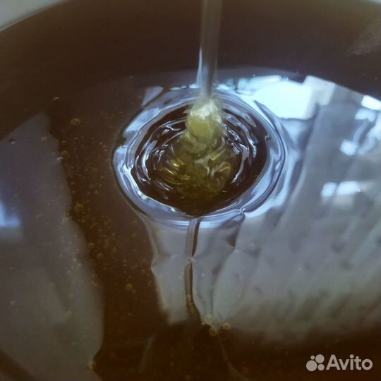 Мед оптом и в розницу 2023, прополис