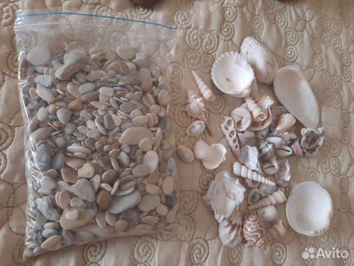Аквариум и аксессуары к нему