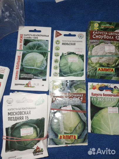 Рассада капусты, слава, московская, ранняя.итд