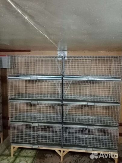 Клетки для кроликов и шиншилл, шиншиллы