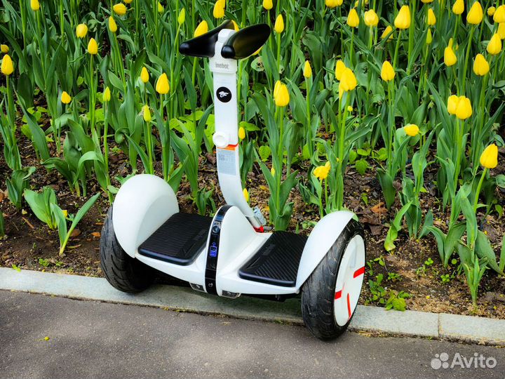 Настоящие мини-сигвеи Ninebot в ассортименте