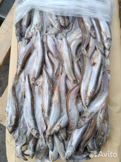 Мойва свежемороженая с/м