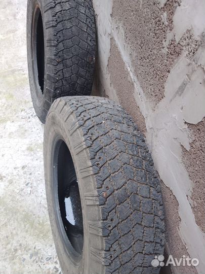 Amtel NordMaster 175/70 R13