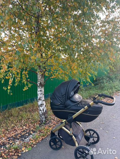 Коляска roan bass gold 2в1