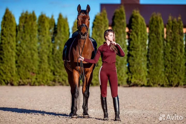 Бриджи,лонгслив для конного спорта