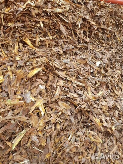 Кора сосновая