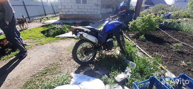 Racer 250