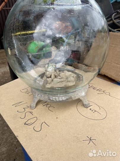 Аквариум СССР