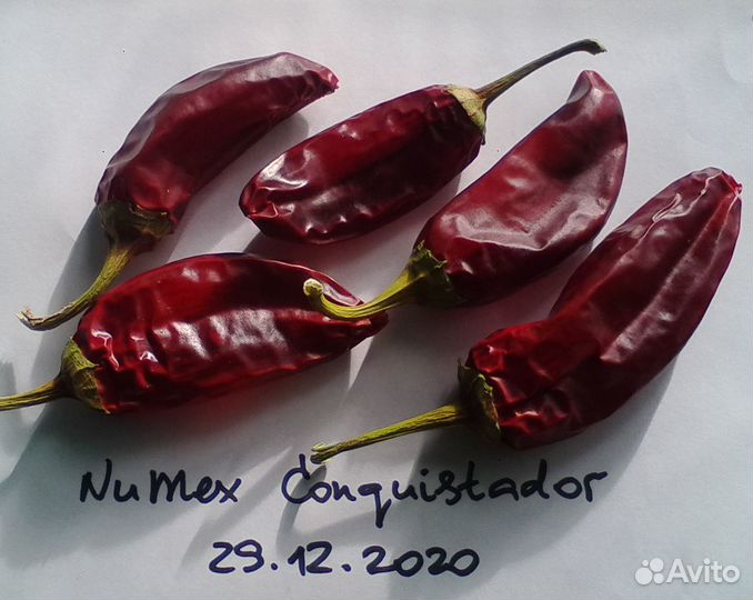 Перец пикантный NuMex - комплект из 5 сортов