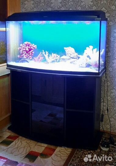 Аквариумный комплекс aquael 200л