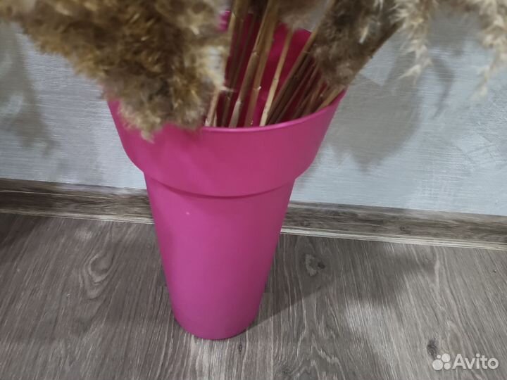 Ваза и сухоцветы камыш