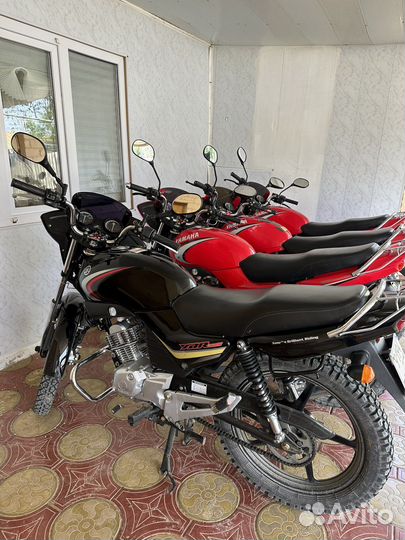 Легендарная Yamaha ybr 125
