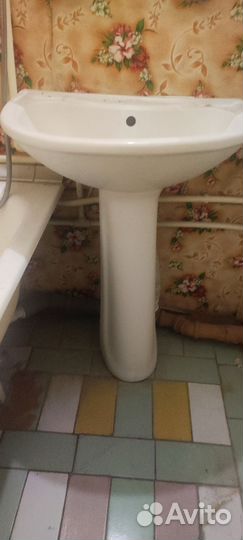 Раковина тюльпан бу