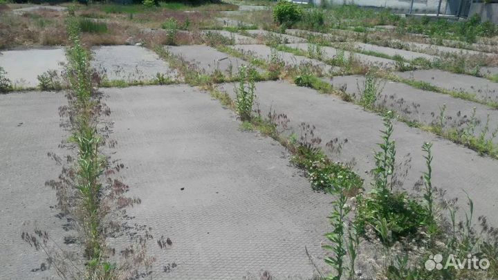 Плиты дорожные