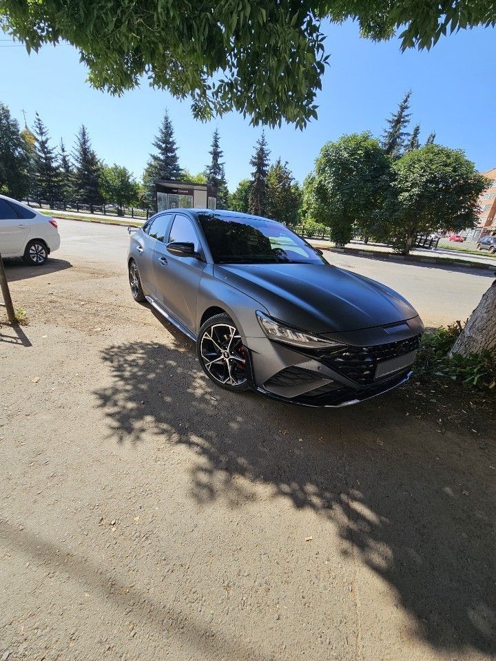 Hyundai Lafesta: фото владельца