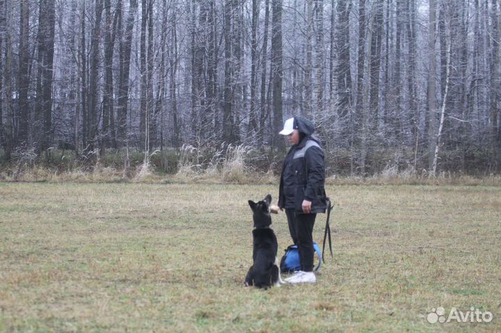 Кинолог