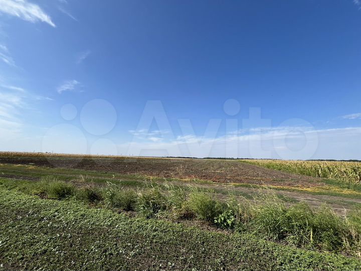 Участок 6,6 га (СНТ, ДНП)