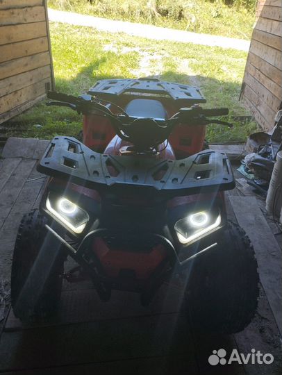 Wells Trails Thunder