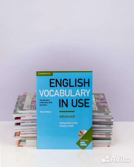 English Vocabulary in Use Advanced