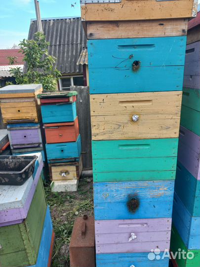 Рамки для ульев