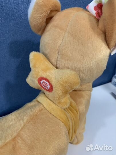 Собачка в сумочке Chi chi love Чичилав Чи чи лав