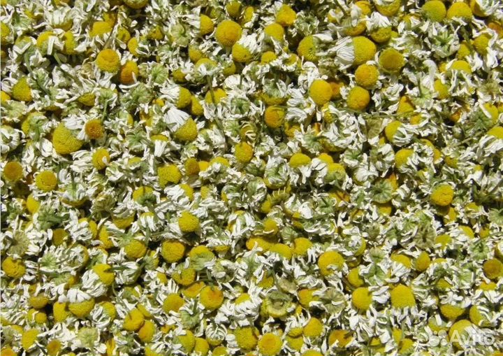 Корм для грызунов. Сушёные травы, веточки