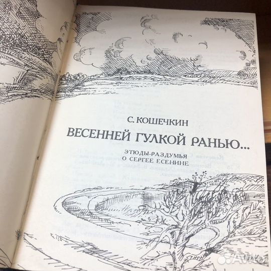 Весенней гулкой ранью. 1984 год