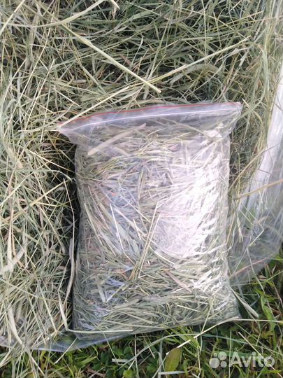 Сено для грызунов. Ручной сборки