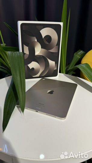 iPad Air 5