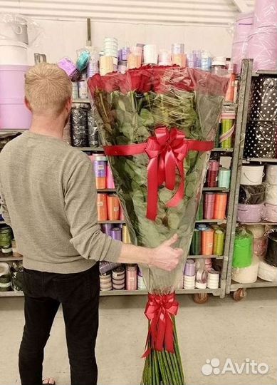 Высокие розы