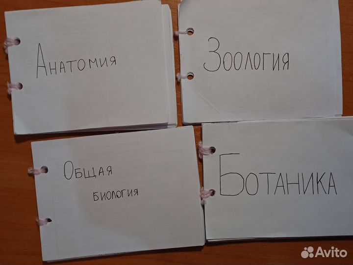 Шпаргалки егэ биология