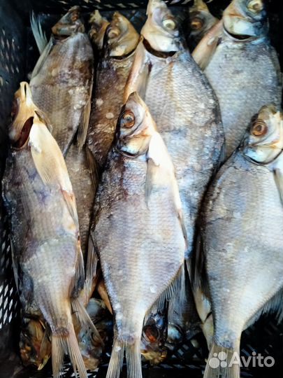 Свежая рыба