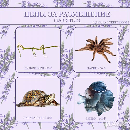 Передержка мелких домашних животных