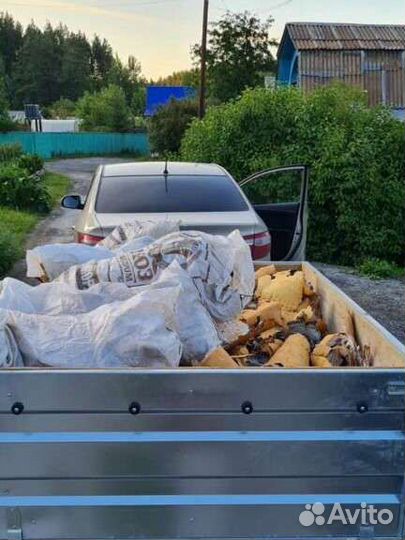 Береста для розжига