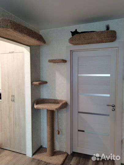 Изготовление когтеточек на заказ