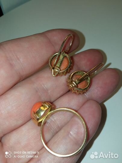 Кораллы в позолоте