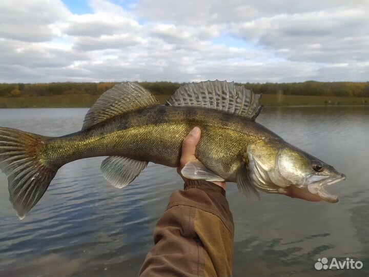 Комплекты мандул