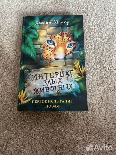 Интернат злых животных