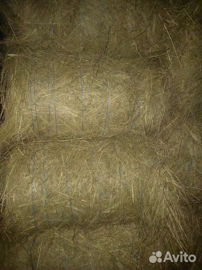 Сено в тюках