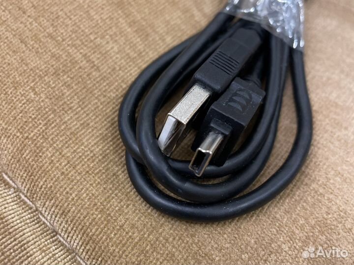 Тюльпаны провода