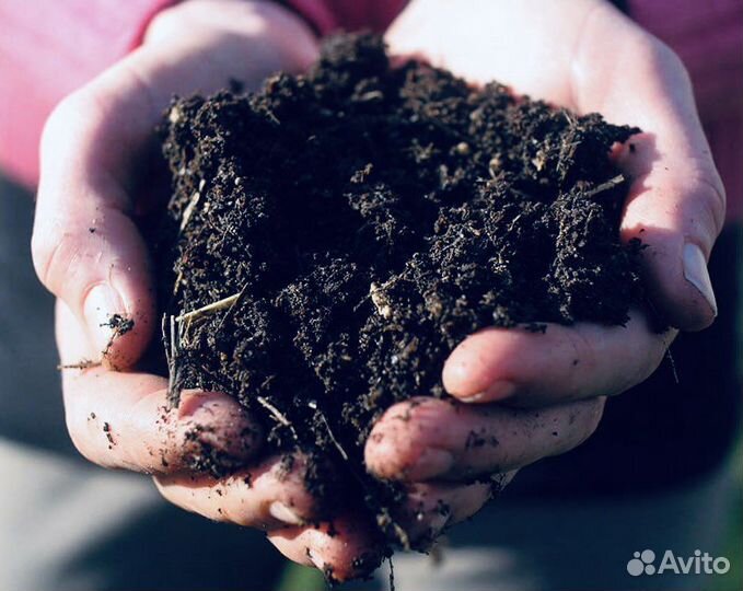 Растительный грунт