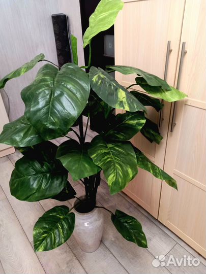 Цветок искусственный диффинбахия