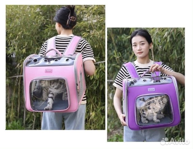 Топовые переноски для кошек и собак