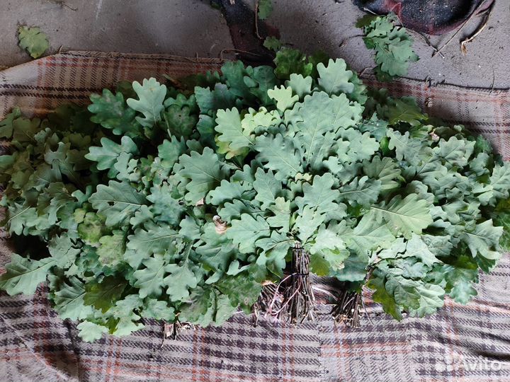 Веники для бани