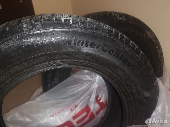 Continental ContiWinterContact TS 830 P 195/65 R15