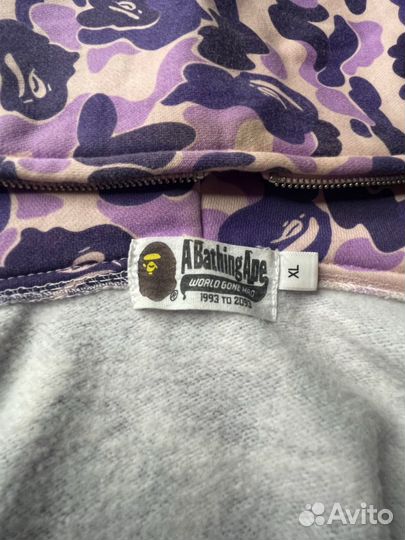Зипка Bape Shark
