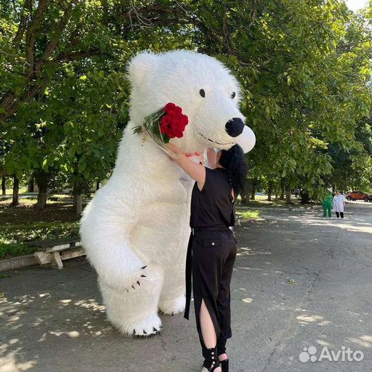 Белый мишка поздравление/аниматоры