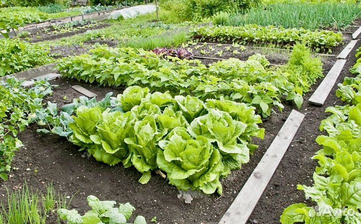 Перегной. Грунт. Торф. Навоз