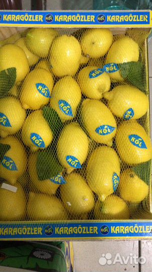 Оптовая продажа фруктов и овощей