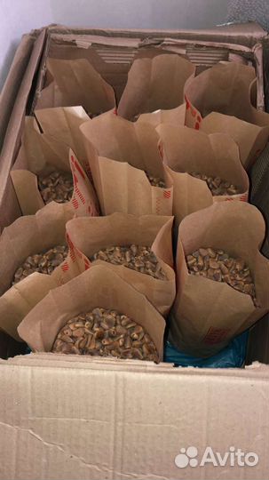 Кедровый орех